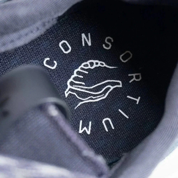 Adidas Consortium X Commonwealth ZX 500 RM  'Friends & Family' Colorway | Mens 7 - Picture 11 of 14